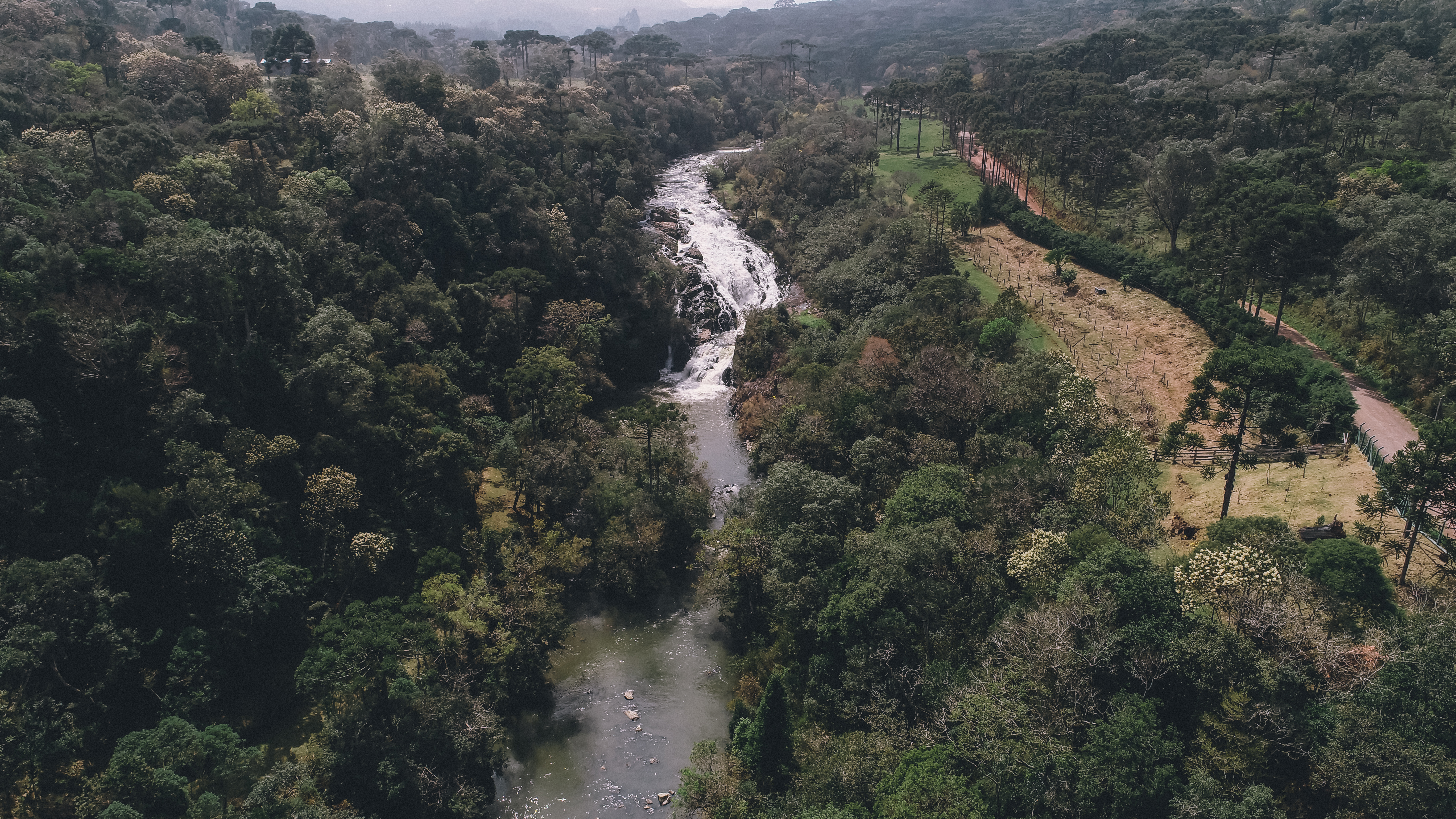 Um Refúgio na Mata Atlântica